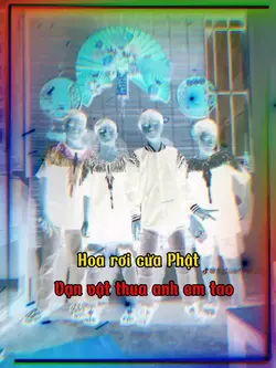Hoa rơi cửa Phật