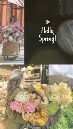 Hello, Spring! 