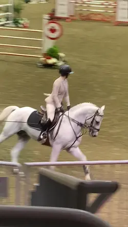 I live that horse