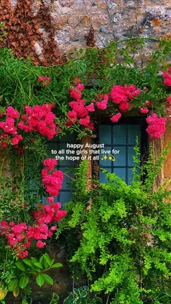 happy August 