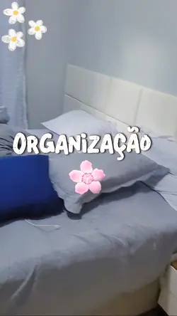 organização