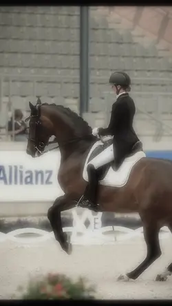 dressage
