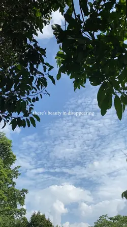 There’s beauty in