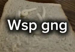 GUYS THIS SUCKS