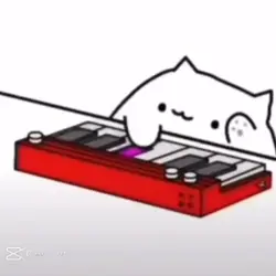Cat piano 
