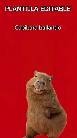 Capibara bailando