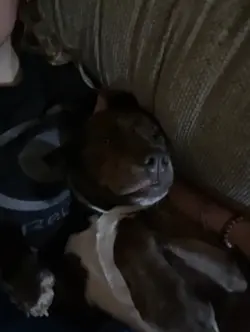 🤭😏