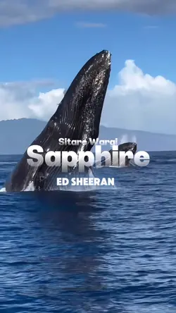 Sapphire Ed Sheeran