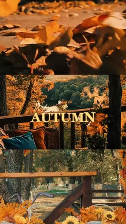 welcome autumn