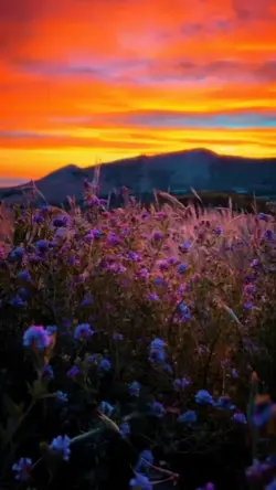 Aesthetic view place