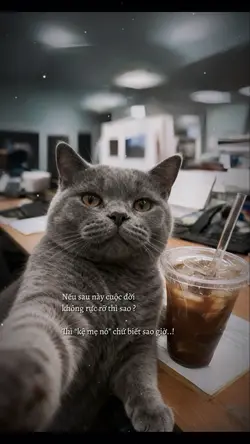 Caption + màu