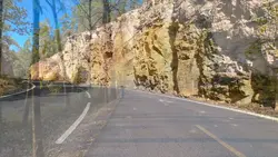 Video Landscape
