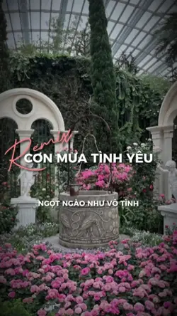 Cơn mưa tình yêu