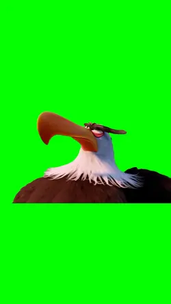 Mighty Eagle say no