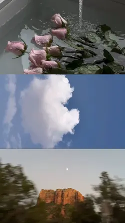 minivlog