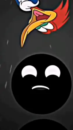 Pica-Pau