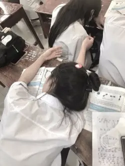 voice học toán