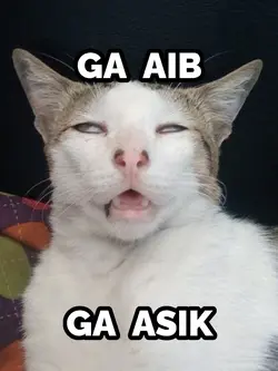 GAK AIB GAK ASIK
