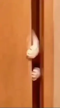 meme locu