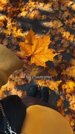 autumn 