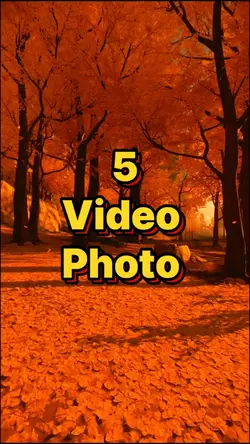5 video or photo 