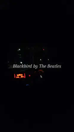 Blackbird