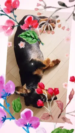 夏休み