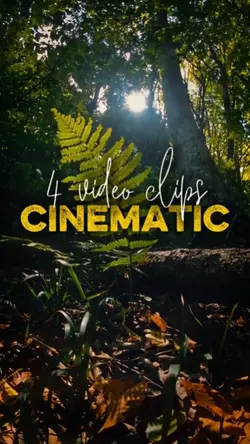4 video clips