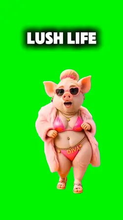 Lush life Piggy