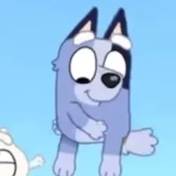 Socks - Bluey