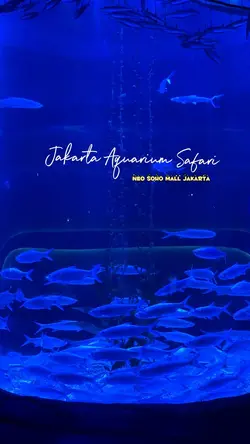 Jakarta aquarium💙