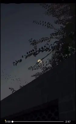 Cristo céntrico