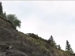car flying meme