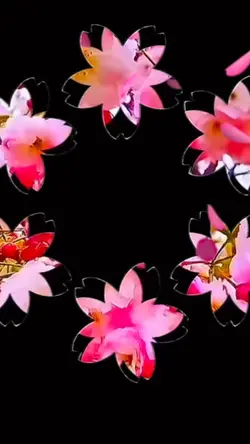 お雛様🎎