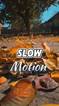 Mini vlog video 