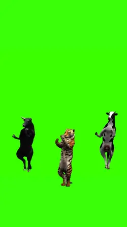 hewan joget
