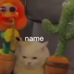 New viral trend 