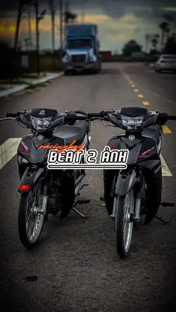 mãu 2 anh