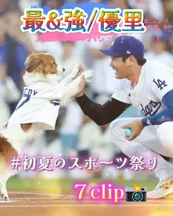 最&強/７clip