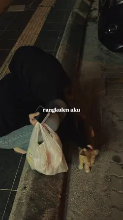 pelampiasan 2