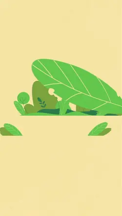 Plants intro vertica