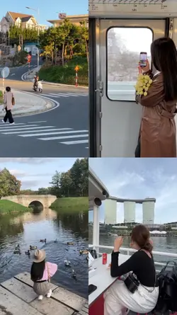 4 grid videos