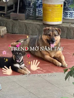 mở nắm tay