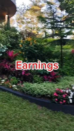 Earnings