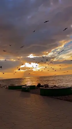 Adventure