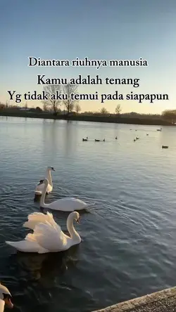 Healing senja