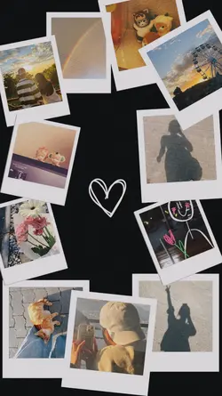 11 pics. of January