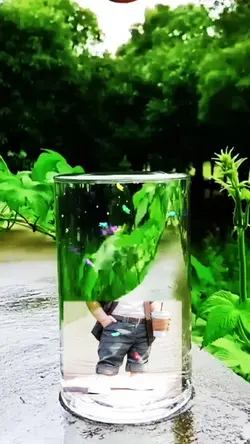 glas trand 
