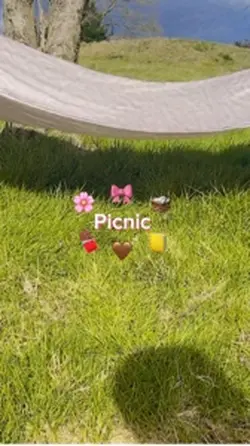 Picnic