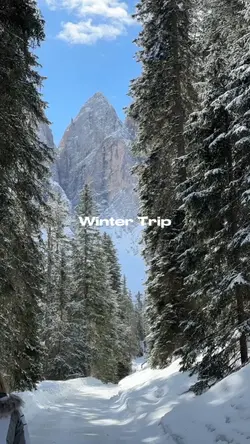 winter trip